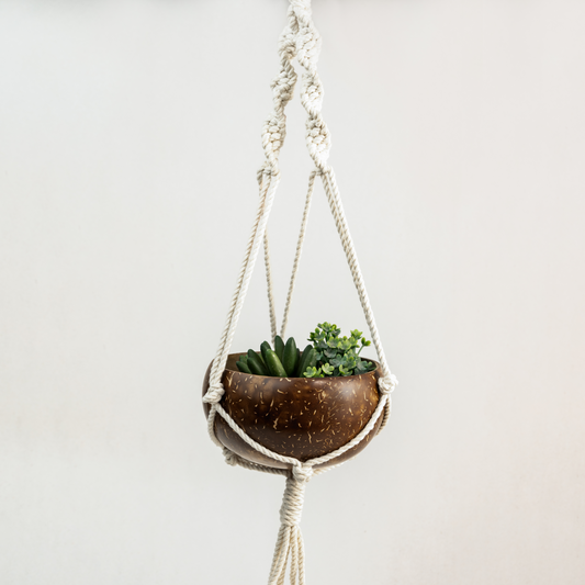 Coconut Shell Macrame Planter | Perfect for Indoor Plants and Succulents