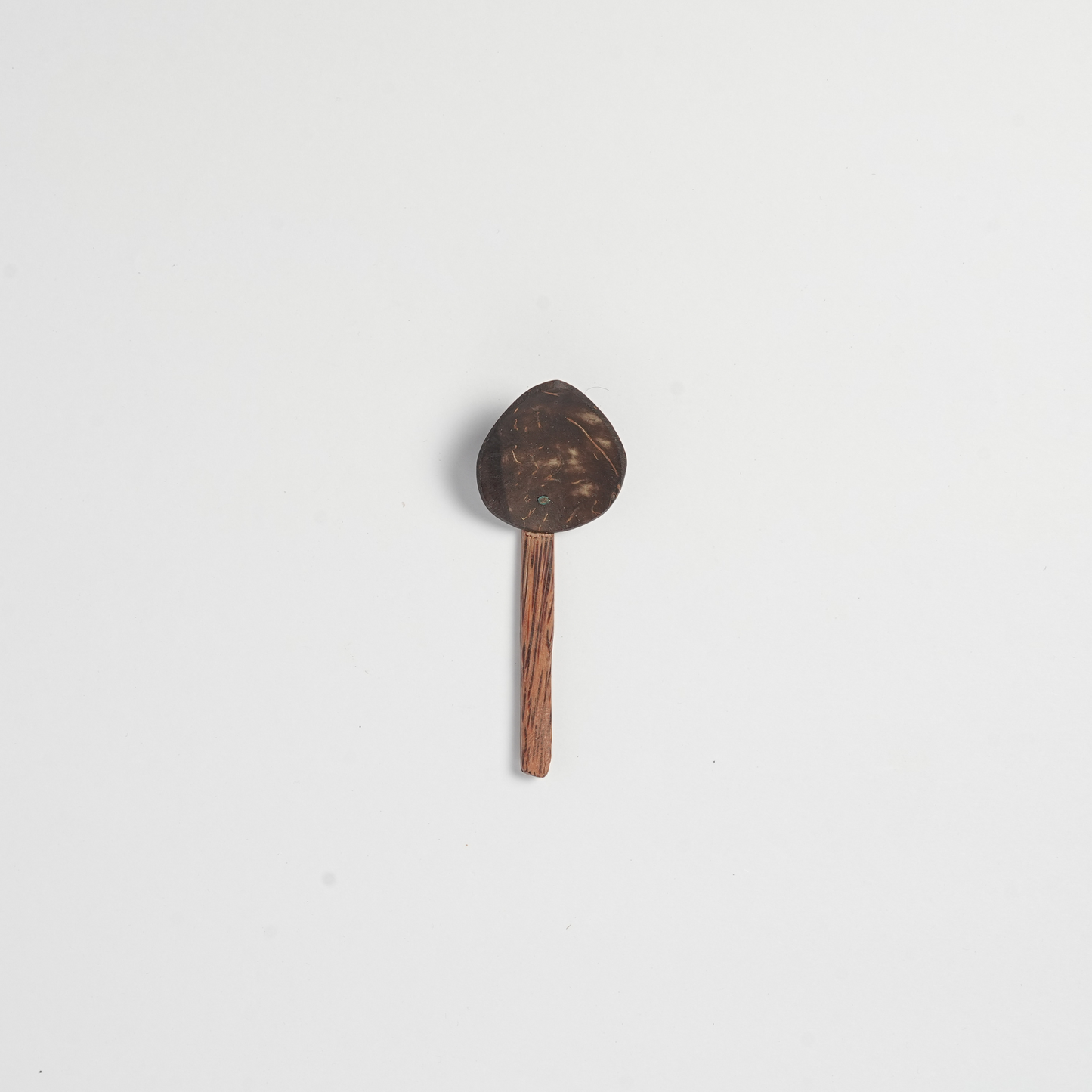 Coconut Shell Spice Spoon | Single Piece